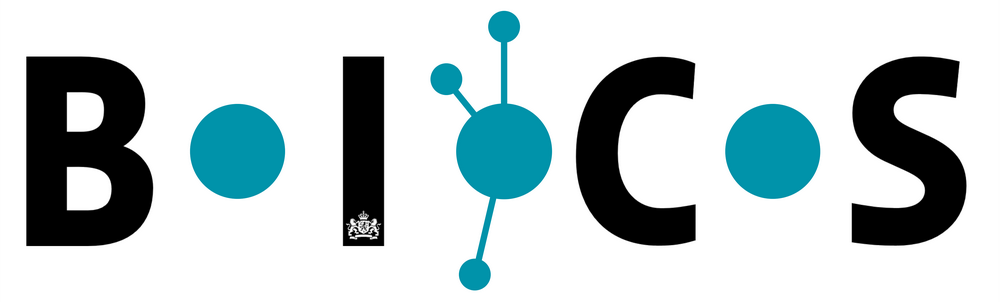 Conceptlogo BICS